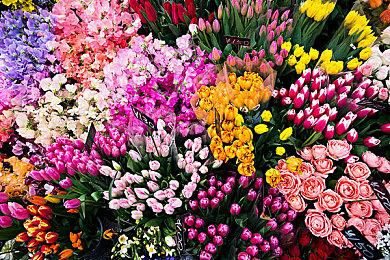 《夺宝奇兵：古老之圈》更新日志 加入多项优化与bug修复